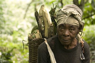 Holzsammlerin im Kongo